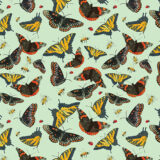 Butterflies- 14705 Lt Green