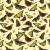 Butterflies- 14705 Yellow